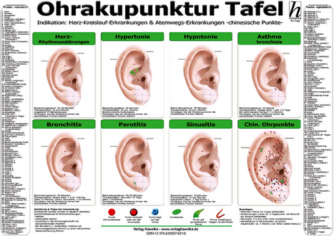 Ohrakupunktur Tafel - Indikation: Herz-Kreislauf-Erkrankungen & Atemwegs-Erkrankungen - AKTIONSPREIS! - 