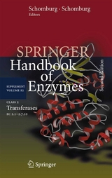 Class 2 Transferases - 