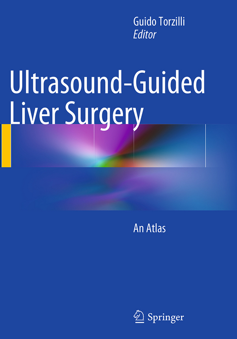 Ultrasound-Guided Liver Surgery - 