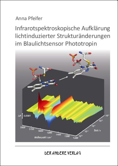 Infrarotspektroskopische Aufklärung lichtinduzierter Strukturänderungen im Blaulichtsensor Phototropin - Anna Pfeifer