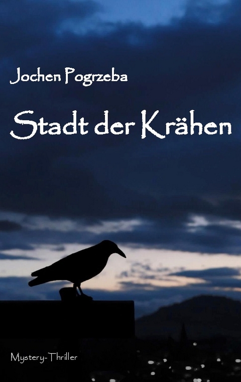 Stadt der Krähen - Jochen Pogrzeba