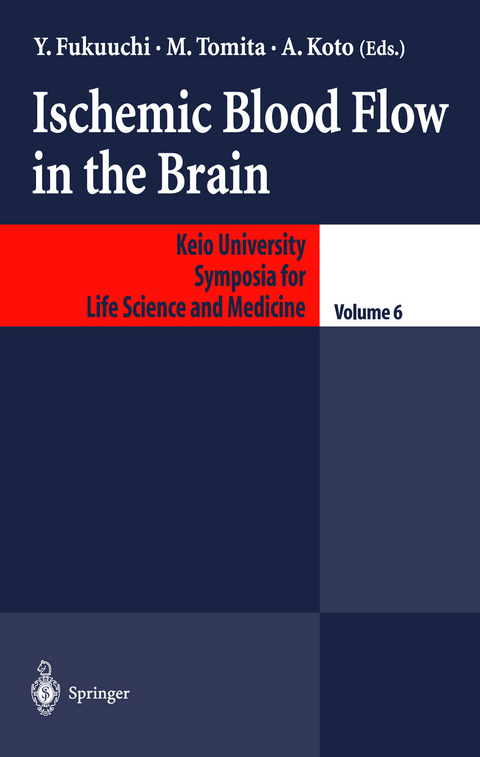 Ischemic Blood Flow in the Brain - 