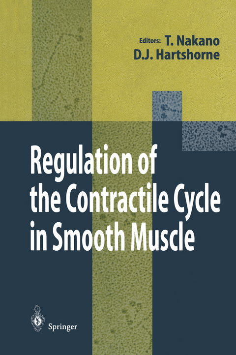 Regulation of the Contractile Cycle in Smooth Muscle - 