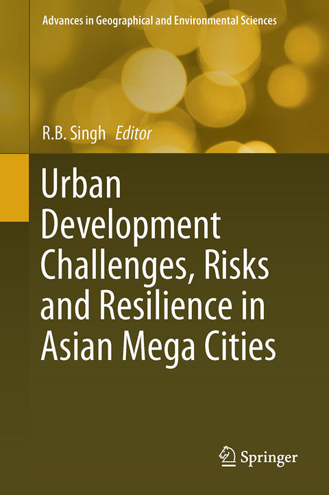 Urban Development Challenges, Risks and Resilience in Asian Mega Cities - 