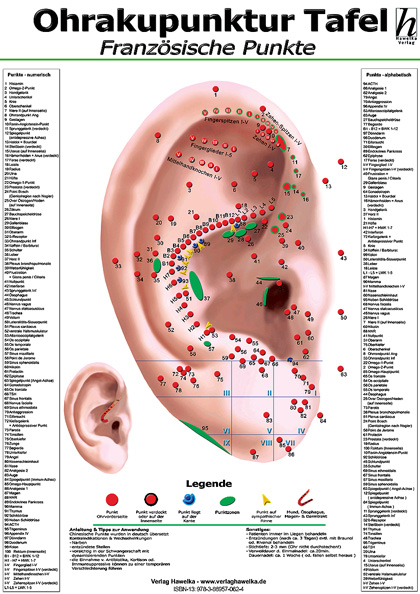 Ohrakupunktur-Tafel - französische Punkte - 