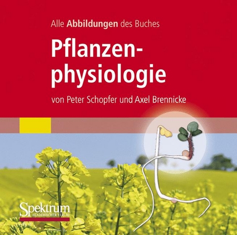 Alle Grafiken des Lehrbuchs Pflanzenphysiologie - Peter Schopfer, Axel Brennicke