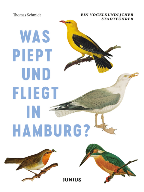 Was piept und fliegt in Hamburg? - Thomas Schmidt