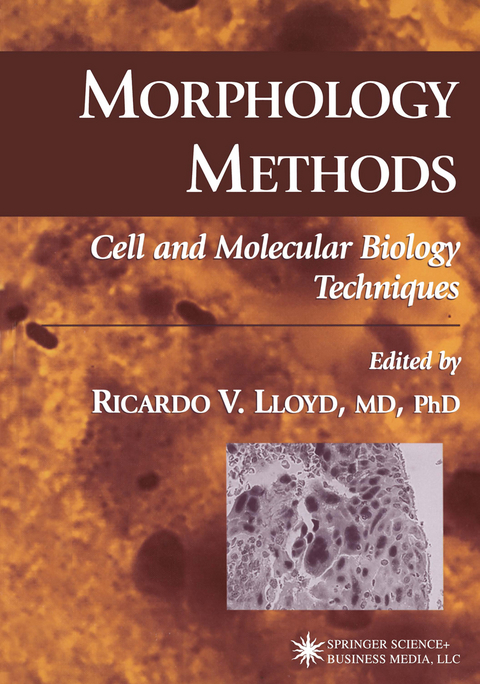 Morphology Methods - 