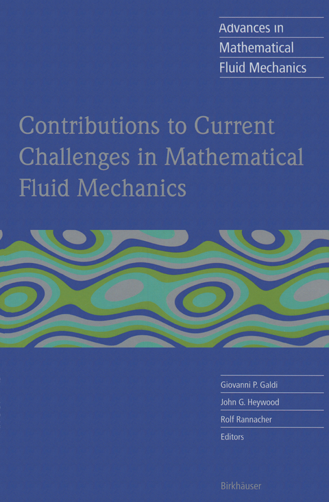 Contributions to Current Challenges in Mathematical Fluid Mechanics - 