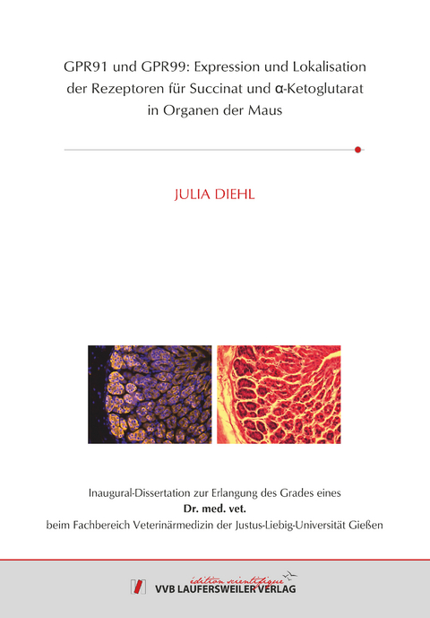 GPR91 und GPR99: Expression und Lokalisation der Rezeptoren für Succinat und α-Ketoglutarat in Organen der Maus - Julia Diehl