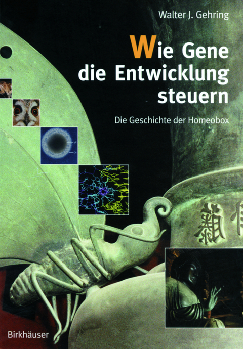 Wie Gene die Entwicklung steuern - Walter J. Gehring