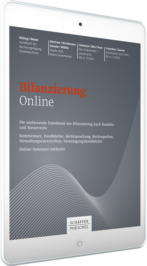 Bilanzierung online - 