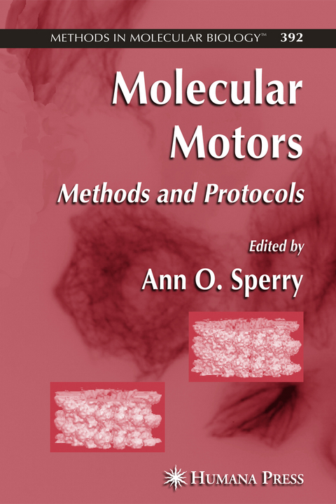 Molecular Motors - 