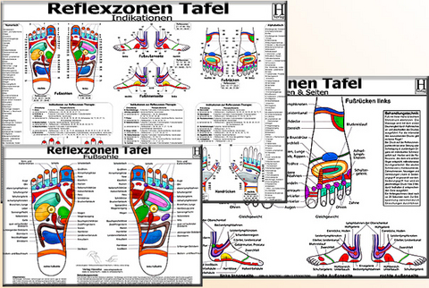 Reflexzonen-Therapie Tafel-Set: Fußsohle Seiten / Reflexzonen-Indikationen / 3 Tafel - 