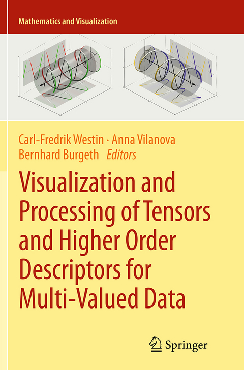 Visualization and Processing of Tensors and Higher Order Descriptors for Multi-Valued Data - 