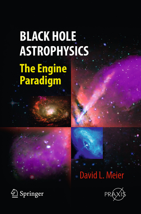 Black Hole Astrophysics - David L. Meier