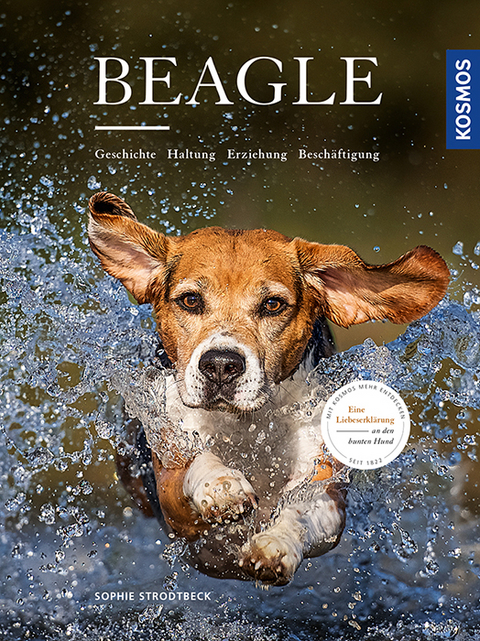 Beagle - Sophie Strodtbeck