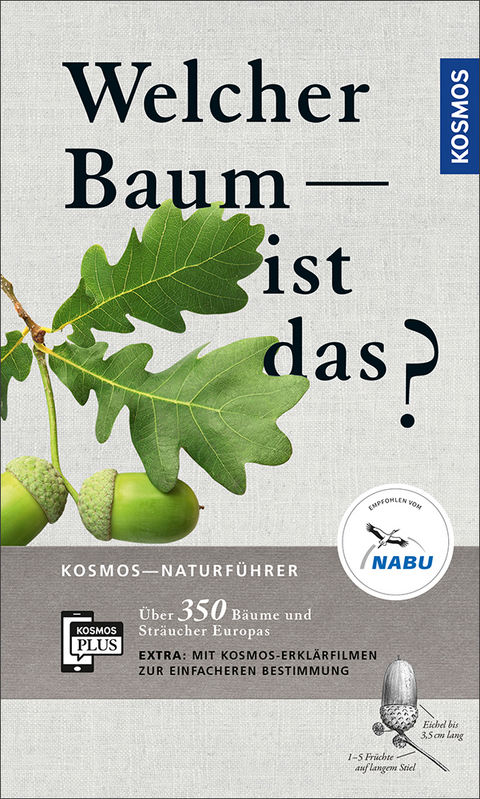 Welcher Baum ist das? - Margot Spohn, Dr. Roland Spohn