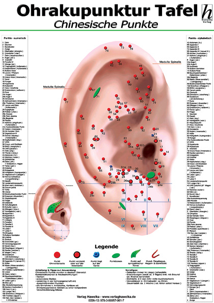 Ohrakupunktur-Tafel - chinesische Punkte - 