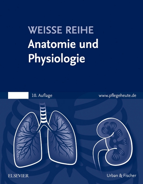 Anatomie und Physiologie - 