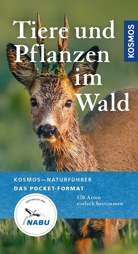 Tiere und Pflanzen im Wald - Ute Wilhelmsen