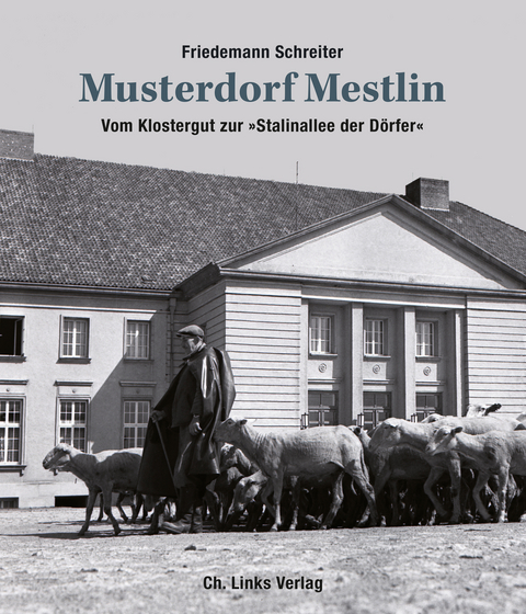 Musterdorf Mestlin - Friedemann Schreiter