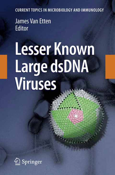 Lesser Known Large dsDNA Viruses - 