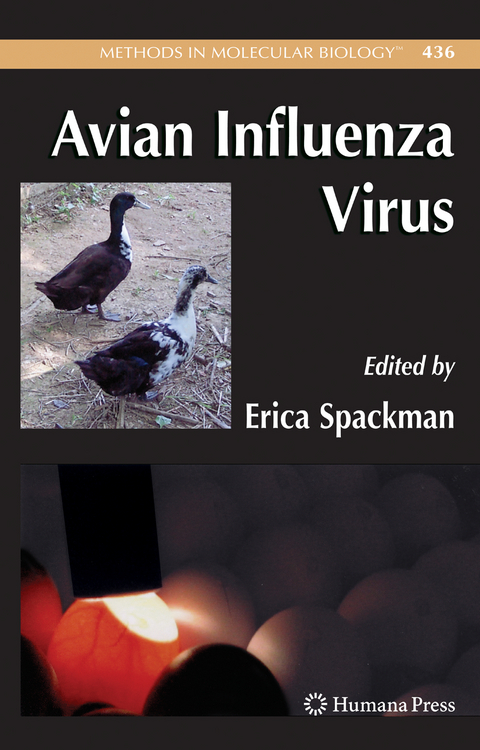 Avian Influenza Virus - 