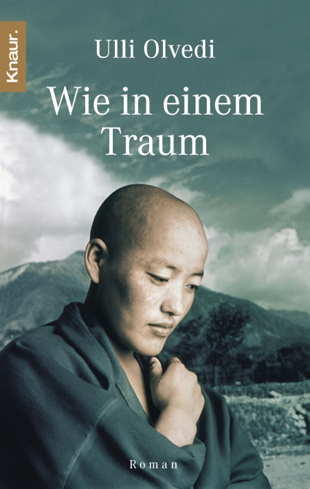 Wie in einem Traum - Ulli Olvedi