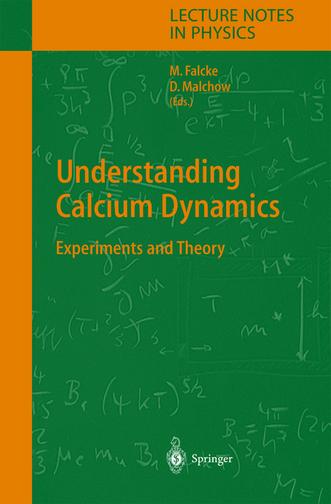 Understanding Calcium Dynamics - 