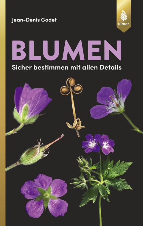 Blumen - Jean-Denis Godet