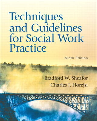 Techniques and Guidelines for Social Work Practice - Bradford W. Sheafor, Charles R. Horejsi