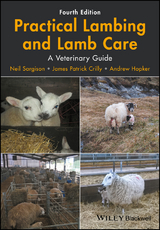 Practical Lambing and Lamb Care - Neil Sargison, James Patrick Crilly, Andrew Hopker