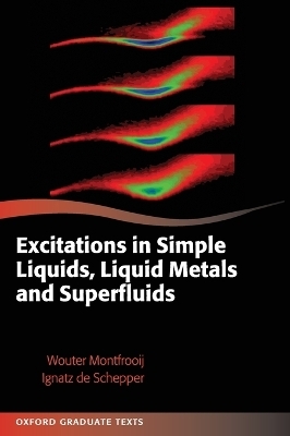 Excitations in Simple Liquids, Liquid Metals and Superfluids - Wouter Montfrooij, Ignatz de Schepper