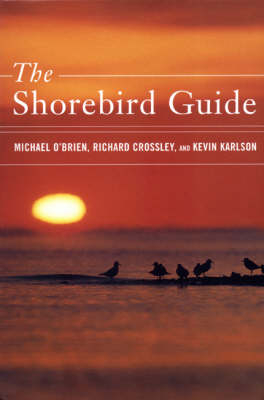 Shorebirds