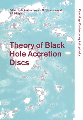 Theory of Black Hole Accretion Discs - 