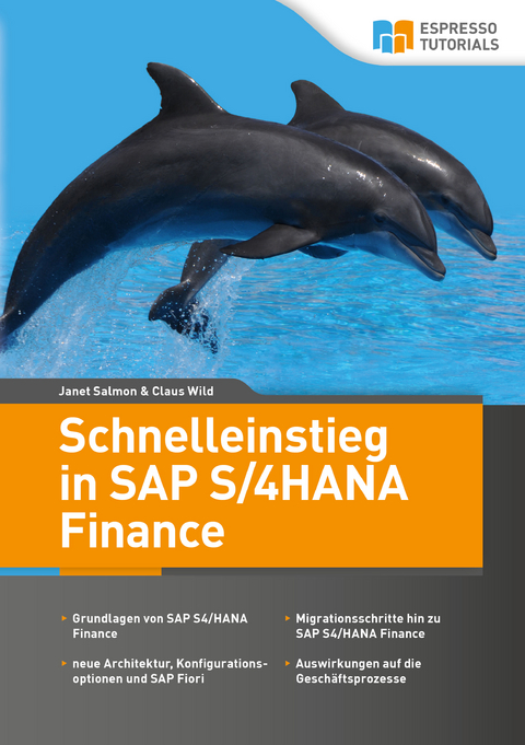 Schnelleinstieg in SAP S/4HANA Finance - Janet Salmon, Claus Wild