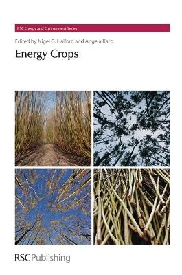 Energy Crops - 