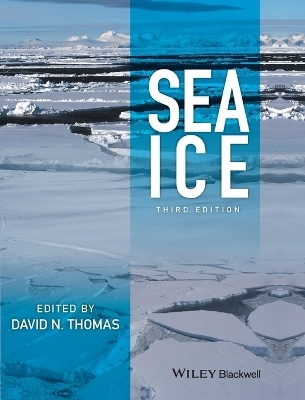 Sea Ice - 