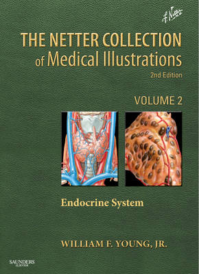 Netter Collection of Medical Illustrations: The Endocrine System - William F. Young