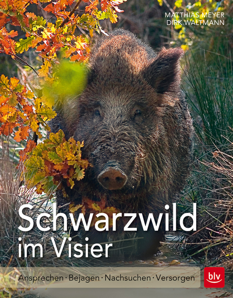 Schwarzwild im Visier - Matthias Meyer, Dirk Waltmann