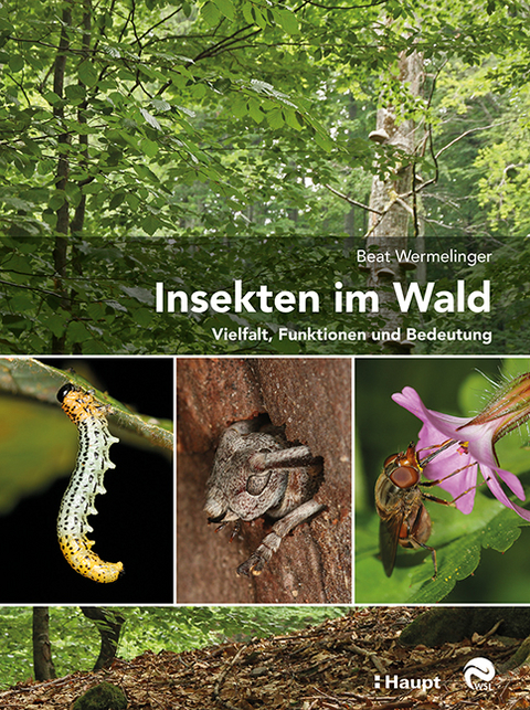 Insekten im Wald - Beat Wermelinger