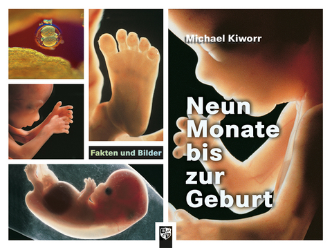 Neun Monate bis zur Geburt - Michael Kiworr