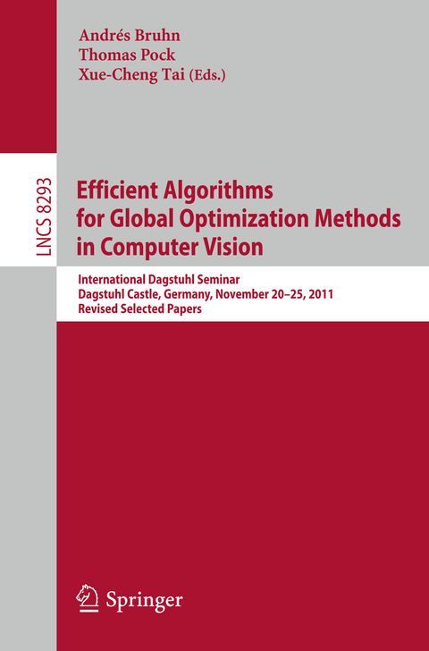 Efficient Algorithms for Global Optimization Methods in Computer Vision - 