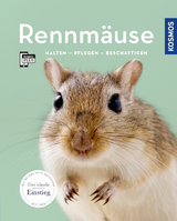 Rennmäuse - Anja Steinkamp