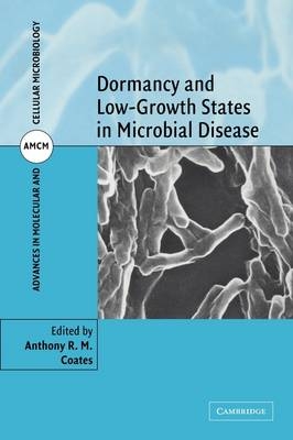 Dormancy and Low Growth States in Microbial Disease - 