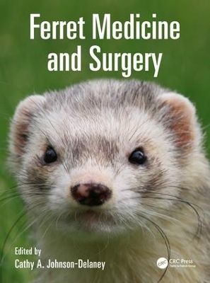 Ferret Medicine and Surgery - 