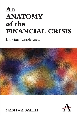 An Anatomy of the Financial Crisis - Nashwa Saleh