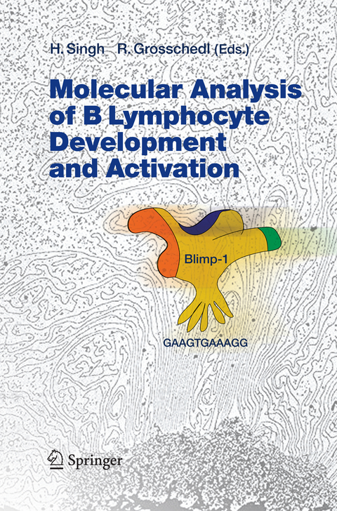 Molecular Analysis of B Lymphocyte Development and Activation - 