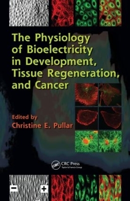 The Physiology of Bioelectricity in Development, Tissue Regeneration and Cancer - 